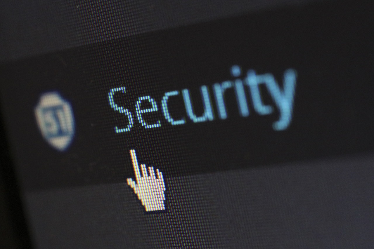 A digital photo of the word security.